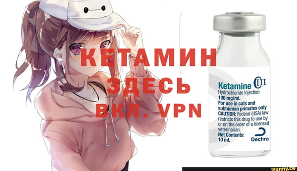 сатива Коряжма