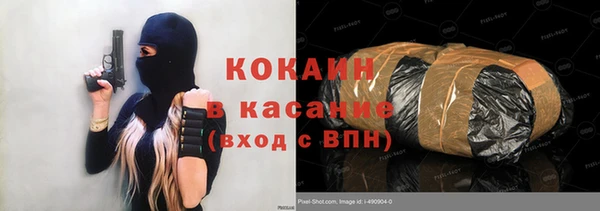 сатива Коряжма