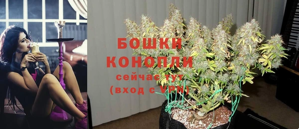 МДПВ Елизово