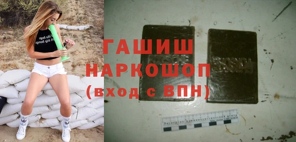 сатива Коряжма