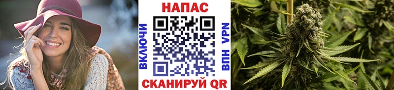Марихуана семена  ссылка на мегу как войти  Новохопёрск  купить  